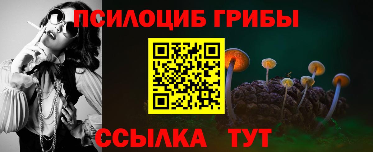 Зеленодольск  Псилоцибиновые грибы Magic Shrooms  Вход с VPN 